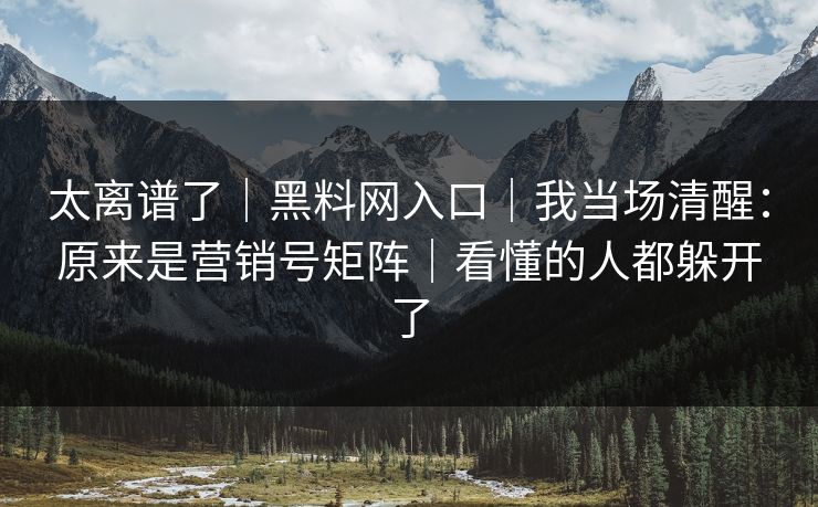 太离谱了｜黑料网入口｜我当场清醒：原来是营销号矩阵｜看懂的人都躲开了